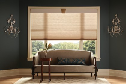 Woodbridge Shutter Company, Washington DC Window Treatment, Washington DC Roman Shades